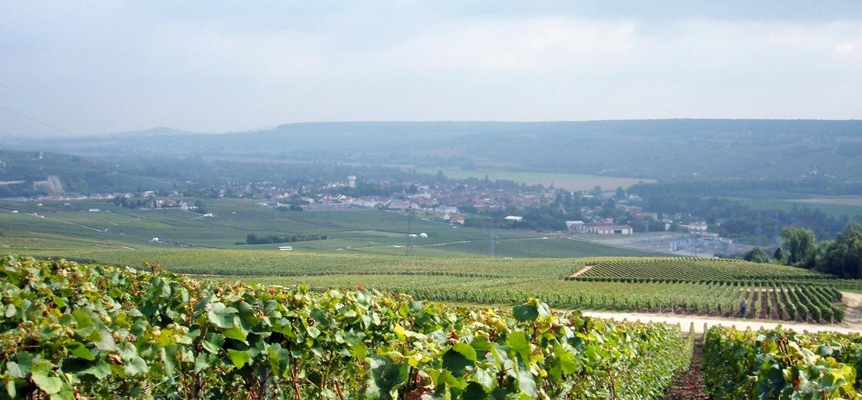 Référence Adexsi pour lanterneaux Bluetek situation de la réalisation champenoise