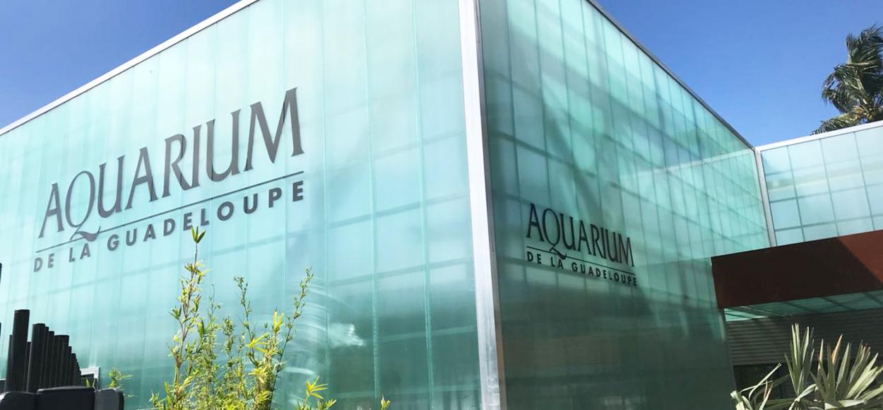 Référence Adexsi conduits de lumière naturelle Lightube sur aquarium du Gosier en Guadeloupe Dom-Tom