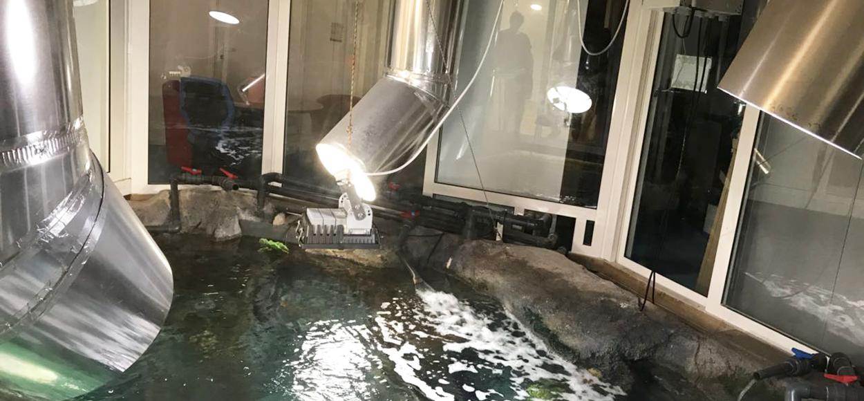 Référence Adexsi conduits de lumière naturelle Lightube sur aquarium du Gosier en Guadeloupe Dom-Tom