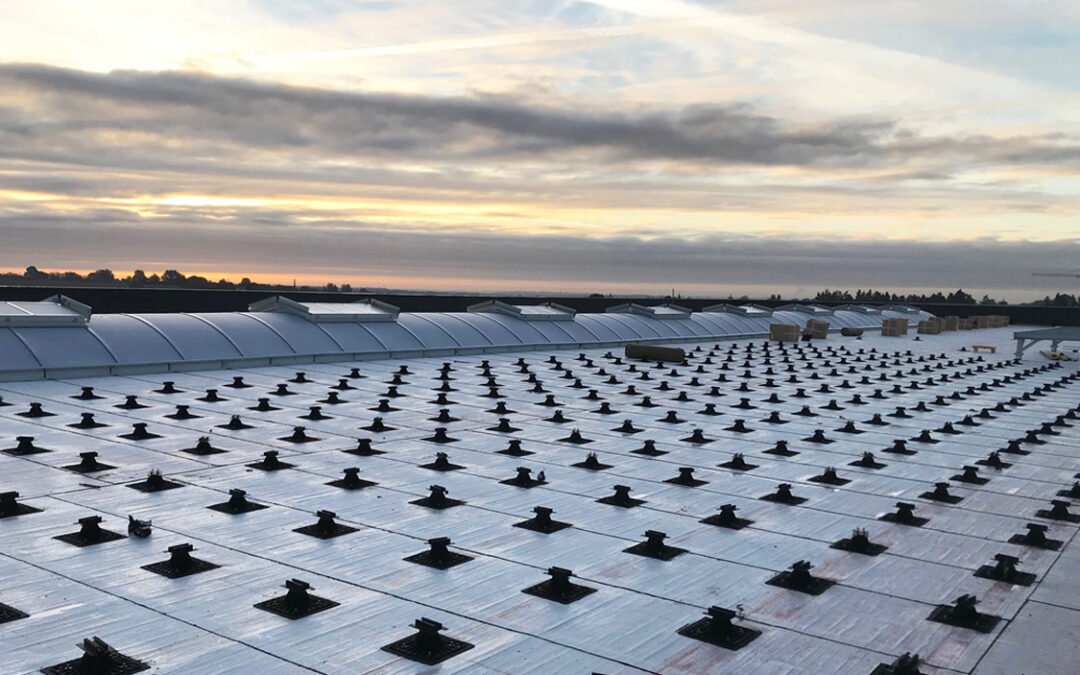 Site verrier de Meisenthal